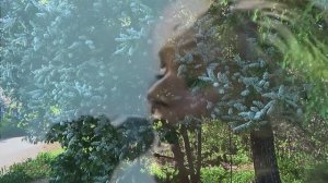 « Ах черёмуха белая  ..... « Музыкальная шкатулка