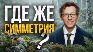 Никакой симметрии: природность как основа Скандинавского сада