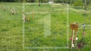 🌹 В донецком микрорайоне Текстильщик накануне Дня Победы появилась аллея в честь бойцов СВО