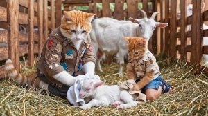 Бедная мама-кошка усердно растит козлят на ферме | Вдохновляющая анимированная история от ИИ