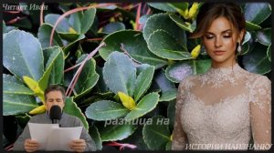 СВАДЬБЫ НЕ БУДЕТ! 👰Ϯ Цыганка открыла глаза на богача_ то, что ОН ПРЯТАЛ дома