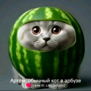 djbdhfhfh🤣🤣🤣🤣🤣
