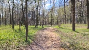 Усадьба Храповицких в Муромцево. Парк. Восприятие возраста