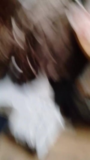 проходим insane в  гд