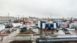 12646195 Мира 55