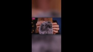 Нежные ASMR-звуки для успокоения ума | Помощник для сна