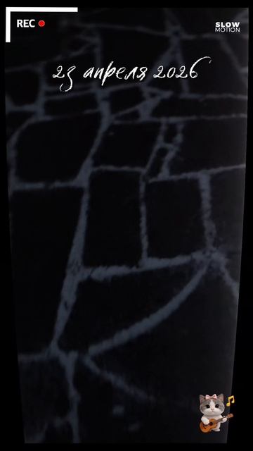 11-05-2026