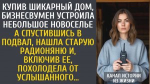 истории из жизни Купив шикарный дом бизнесвумен устроила небольшое новоселье… А найдя радионяню…