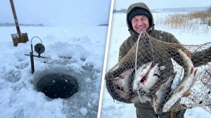 Рыбалка в мороз: Неожиданный трофей и полный фитиль рыбы