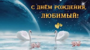 Ты мой любимый мужчина. С днём рождения, муж.