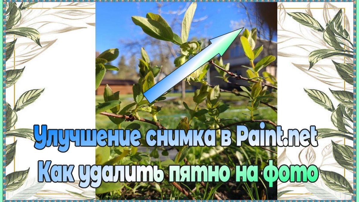 Как убрать пятно с фотографии в paint.net