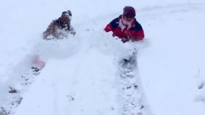 НЕВЫПОЛНИМАЯ МИССИЯ! Смешные фейлы, созданные, чтобы разрушить вашу серьёзность!
