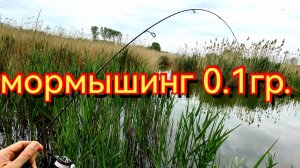 Мормышинг.Карась на мормышку 0.1гр.Клёв перед дождём.