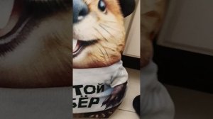 Тимоха глич 1 серия