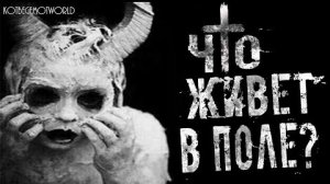 ЧТО ЖИВЁТ В  ПОЛЕ?..  Страшные истории на ночь.