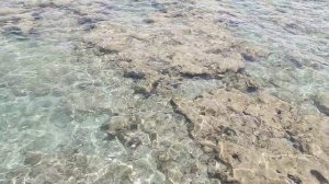 Ветер с моря дул...