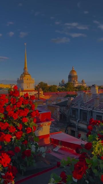 Петербург 💛