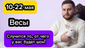 Весы - 10-22 мая. Гороскоп. Случится то, от чего у вас будет шок!