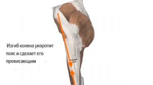 про общепринятый стандарт осанки