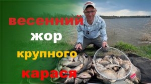 весенний жор крупного карася