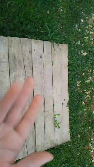 треш  ситуация рассказываю историю