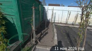 7 соток. Зачем и как убираю поросль малины. Хроника 11 2026 год.
