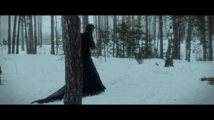 Мещера -страж  сосновых чащёр