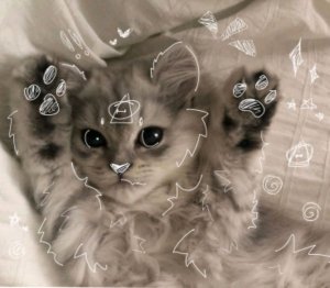 ﹥﹥Лунная тропа﹤﹤