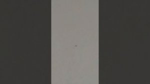 39668.mp4