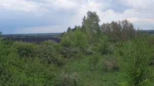 поставил ловушку на пчел. N20. все. больше ловушек нет. теперь делаем ставки и ждём результат.