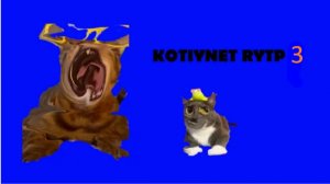 Kotinet RYTP 3