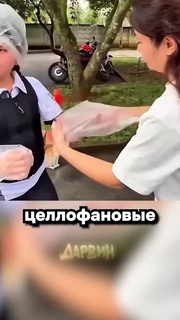 Защитный костюм от аллергии