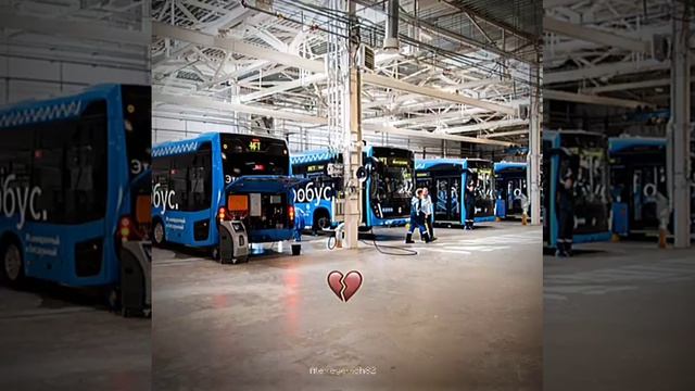 жиза троллейбус metrorussiaplaytv shorts
