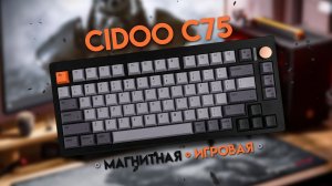 CIDOO С75 - магнитная, игровая на VIA и умеет в макросы!