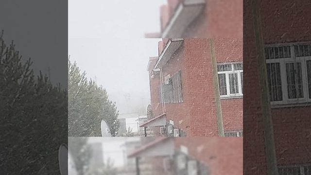 Ох уж этот белый снег ❄️