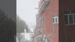 Ох уж этот белый снег ❄️