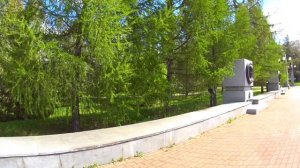 11-05-2026 сквер  аллое поле