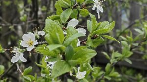 11.05.26.Сахар,Перекус ,Обед,Ужин