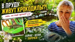 Мы в шоке! Откуда взялись эти существа? Уход за дачным прудом весной