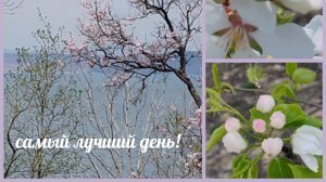 Вязовлог_4-10 мая_Весенние краски и мои творческие успехи