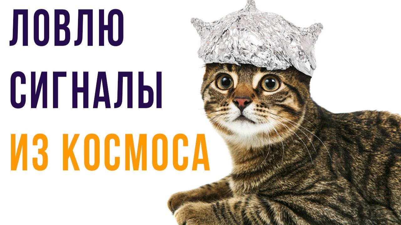 Приколы с котами) Сигнал из космоса смотреть онлайн