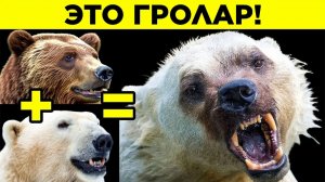 Самые Страшные Гибриды Животных WTFакт