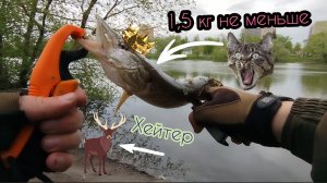ПО ЩУЧЬИМ СЛЕДАМ/РЫБАЛКА В МАЕ НА СПИННИНГ