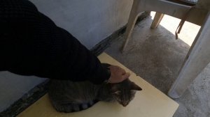Отвез марсика на уколы,прокатился вечером на море