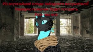 ПРИГЛОШАЮ ВСЕХ КВШНИКОВ НА ШАШЛЫЙ ИЗ ЗВЁЗДНОГО ИССУШИТЕЛЯ БУДЕТ ВКУСНО ГОТОВИТ ШЕФ ПОВОР! Чит опс