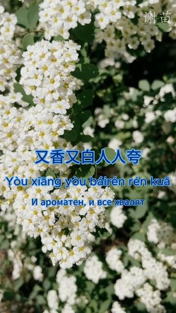 Короткие видео