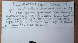 Вариант № 539 А. Ларин. Задание № 17.