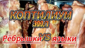 Коптилиум 300л. Копчу рёбрыщки и языки