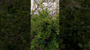 1000036956.mp4