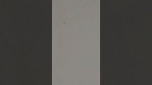 39666.mp4